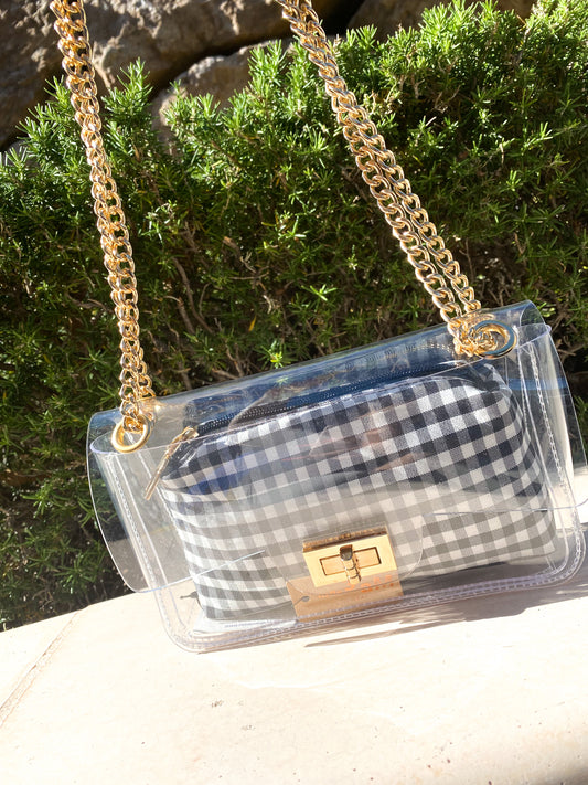 All in it Clear Purse